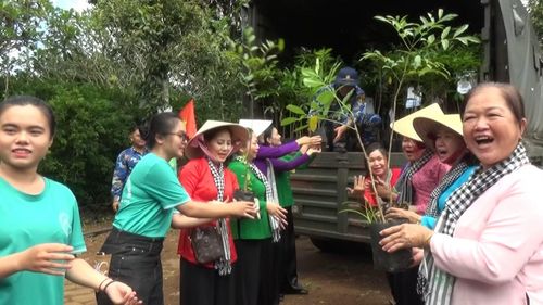 Hội Liên hiệp phụ nữ Thành phố Hồ Chí Minh trao cây giống tặng Vùng 4 Hải quân. (Ảnh: THÀNH VŨ)