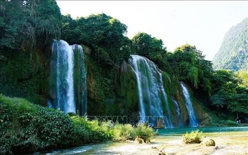 Dòng thác đổ từ trên cao xuống nhìn như một dải lụa mềm trắng xóa.