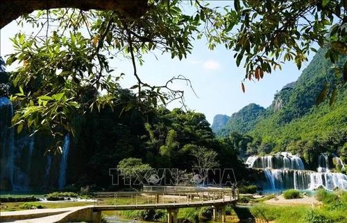 Cây cầu dẫn du khách đến cảm nhận vẻ đẹp bất tận của Thác Bản Giốc.