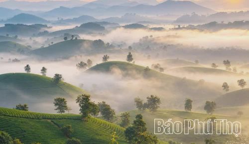 Mỗi thời điểm trong ngày đều mang đến vẻ đẹp hấp dẫn, cuốn hút du khách tìm về trải nghiệm trên những đồi chè ở Long Cốc.