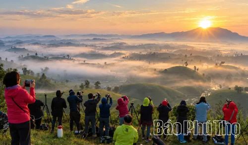 Không gian trong lành, cảnh sắc nên thơ, những đồi chè trập trùng ẩn hiện trong mây vào thời điểm đón bình minh, thu hút các nhiếp ảnh gia và du khách đến tìm kiếm những khoảnh khắc đẹp.