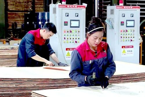 Quy trình sản xuất ván Plywood tại Công ty TNHH Sao Việt.