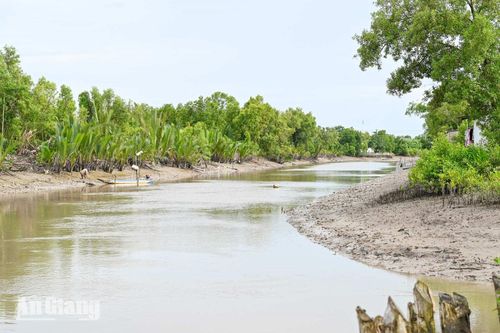 Vào con nước kém, những con sông cạn dần nước là thời điểm lý tưởng để đi bắt sò huyết.