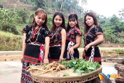 Người dân làng A-choong bên cây đảng sâm. Ảnh: P.P