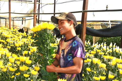 Nghề trồng hoa đã gắn liền với nhiều thế hệ người dân Đà Lạt.