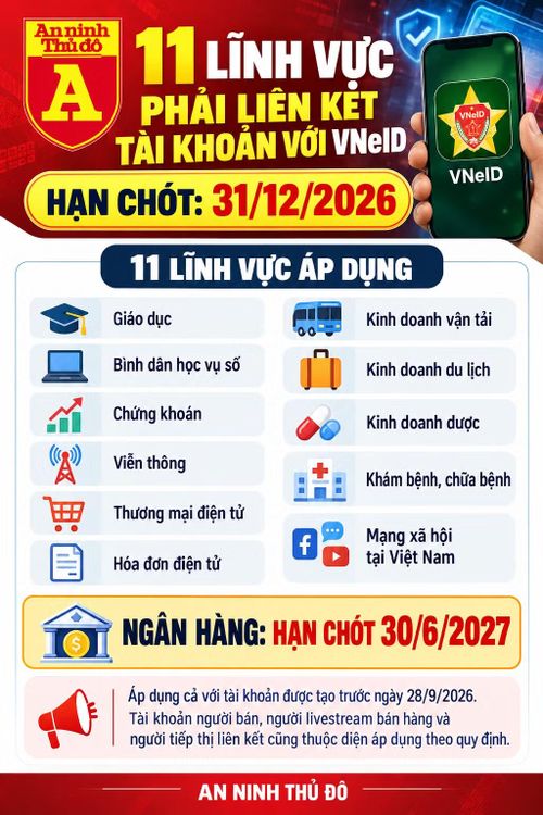 11 lĩnh vực phải liên kết tài khoản với VNeID trước ngày 31/12 