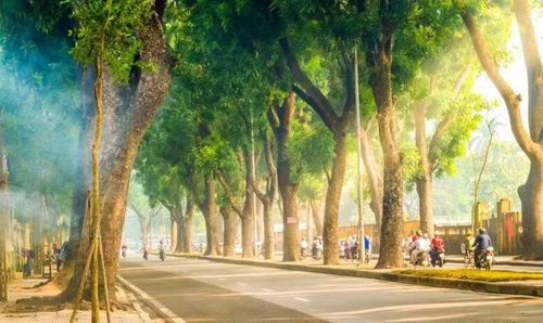 Mùa thu khiến đường Hoàng Diệu khoác lên mình vẻ thơ mộng, bình yên. Những hàng cây xanh, con đường rộng rãi cùng sắc trời dịu nhẹ tạo nên nhiều góc check-in đẹp. Nhờ nằm gần nhiều tuyến đường trung tâm, du khách cũng dễ dàng kết hợp ghé thăm các địa danh nổi tiếng khác trong hành trình khám phá Hà Nội mùa thu. Ảnh: Arttimes