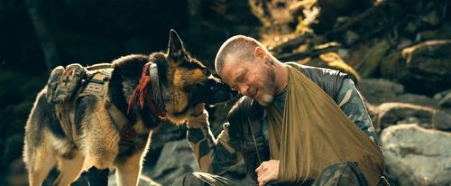 Phim của Brad Pitt cũng cách mốc hòa vốn con số đáng kể.