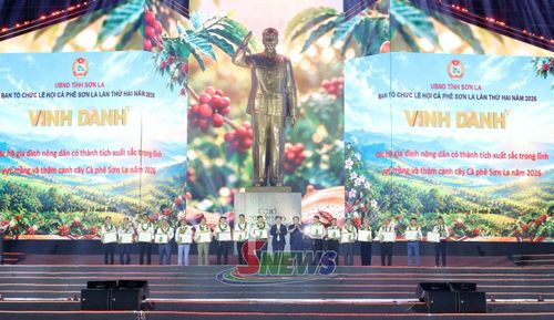 Các hộ có thành tích xuất sắc trong lĩnh vực trồng và thâm canh cây cà phê Sơn La năm 2026 được vinh danh tại Hội thi nhà nông đua tài.