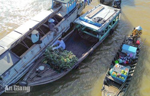 Ghe thuyền neo đậu, buôn bán tại chợ nổi Long Xuyên.