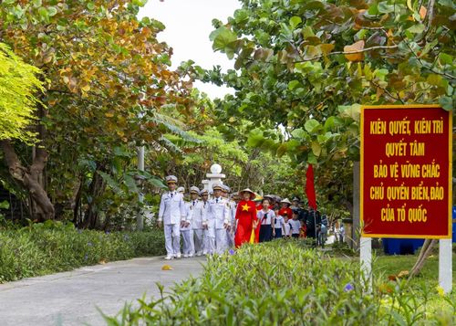 Những cây tra trên đảo Song Tử Tây.