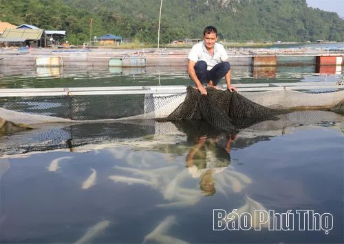 Người dân thôn đặc biệt khó khăn Ngòi Hoa, xã Mường Hoa phát triển nghề nuôi cá lồng, từng bước nâng cao thu nhập.