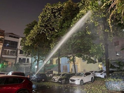 Một khu dân cư phun nước để hoa sữa rụng