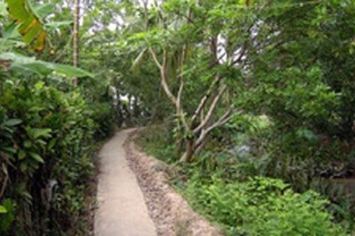 Về thăm xứ sở cù lao