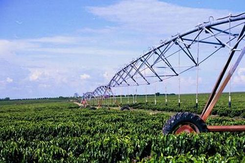 Brazil hạn chế người nước ngoài sở hữu đất