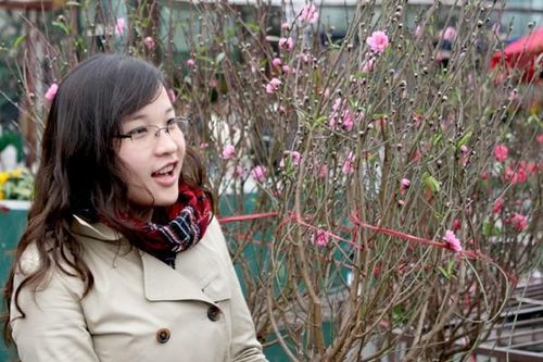 Quất, đào 'mang' mùa xuân xuống phố