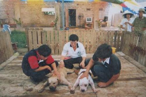 Trận 'so hàm' kinh hoàng trên sới chọi chó