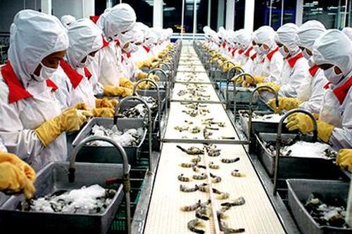 Cần giải pháp bền vững cho xuất khẩu tôm