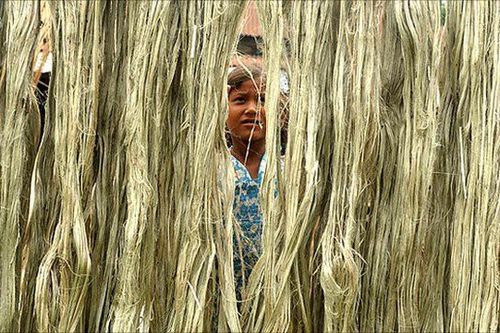 'Sợi vàng' cứu sống người dân Bangladesh