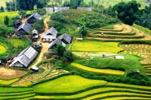Tả Van trong mây