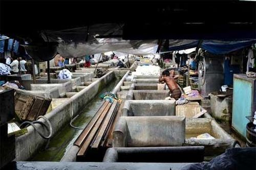 Cận cảnh 'máy giặt' bằng xương, bằng thịt