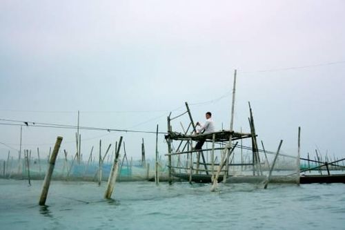 Thừa Thiên Huế tăng cường bảo vệ nguồn thủy sản ở đầm phá