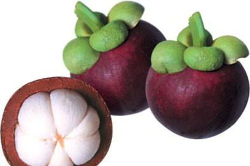 Măng cụt có thể chống ung thư