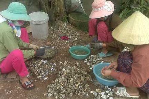 Về Quán Hàu nghe kể chuyện … Hàu