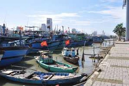 Đà Nẵng: Các tàu cá phải được trang bị hiện đại