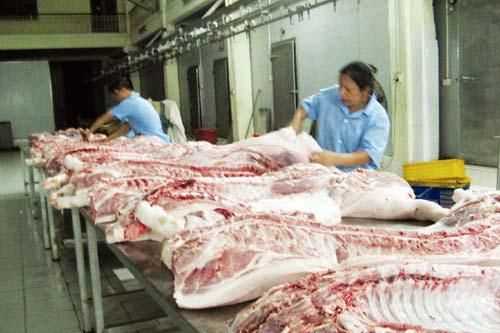 Hà Nội: Lò mổ hiện đại không có 'đất sống'