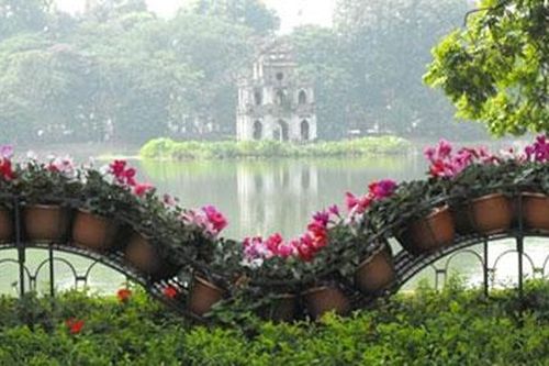 Hà Nội: Cơ bản hoàn thành trang trí hoa, cây xanh phục vụ Tết