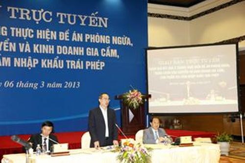 Tăng chế tài xử phạt nhập lậu gia cầm