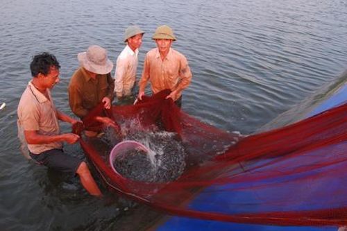 Kinh tế biển ở Ninh Bình: Huy động mọi nguồn lực làm giàu