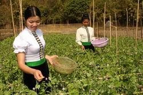 Hỗ trợ nhân rộng mô hình giảm nghèo