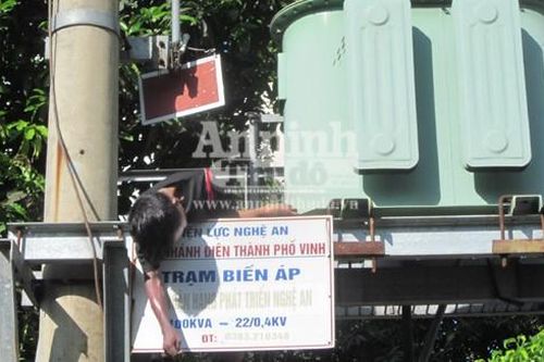 Phát hiện nam thanh niên chết ngay trên trạm biến áp