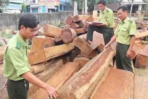 Cán bộ tiếp tay cho lâm tặc sẽ bị xử lý nghiêm