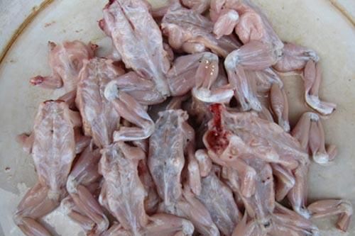 Mẹ chết, hai con nhập viện vì ăn thịt cóc