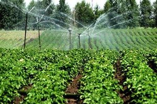 Thực phẩm bền vững - Chìa khóa bảo đảm an ninh lương thực