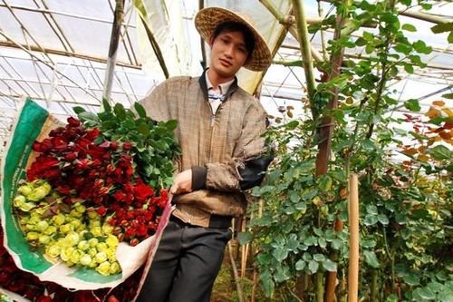 Săn hoa hồng xanh dương làm quà ngày 20/10