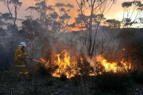 Australia: Cấm hút thuốc ngừa thảm họa cháy rừng
