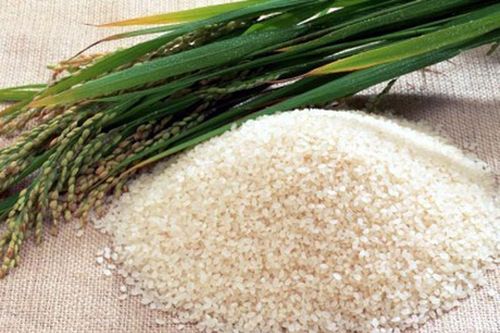 Vì sao ăn cơm nếp lại thấy khó tiêu?