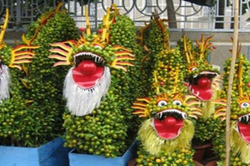 Kiểng quả 'hàng độc' trưng Tết giá bạc triệu vẫn đắt hàng