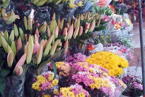 Rộn ràng ngày lễ Tình yêu