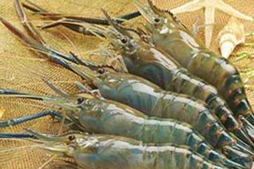 Dân Hà Nội ăn tôm, cua ốc kèm chì, thủy ngân