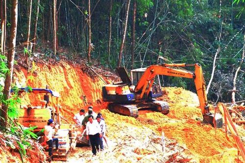 Tranh chấp rừng trồng, doanh nghiệp tố Tướng công an