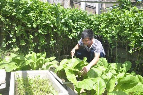 Trường Sa phát huy thế mạnh kinh tế biển đảo