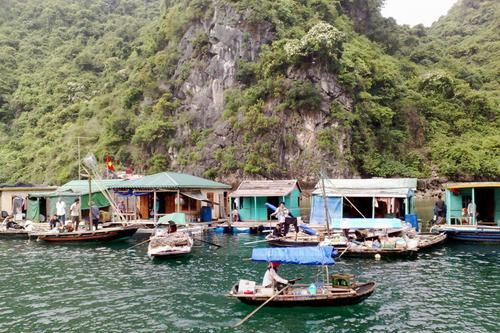 Việc di dời nhà bè trên vịnh Hạ Long phải hoàn thành trước ngày 30/6/2014