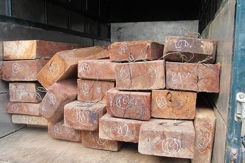 Bắt xe tải chở 23 hộp gỗ Gõ không rõ nguồn gốc