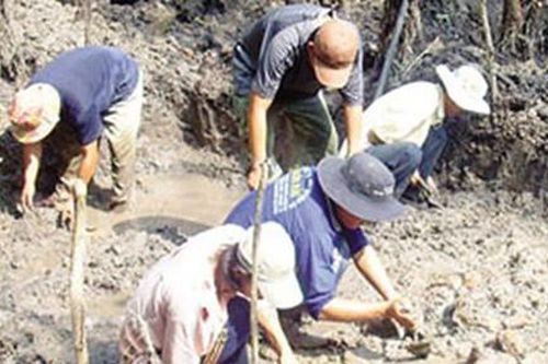 Bí ẩn những kho báu vàng tấn trên đất Việt