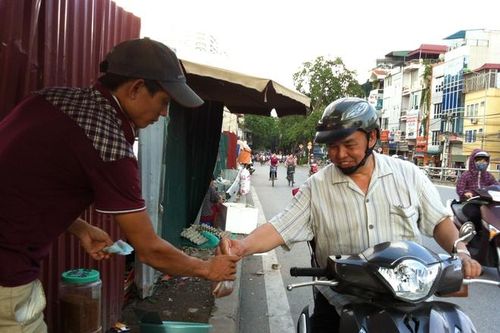 'Phố' bán sâu rồng nuôi chim